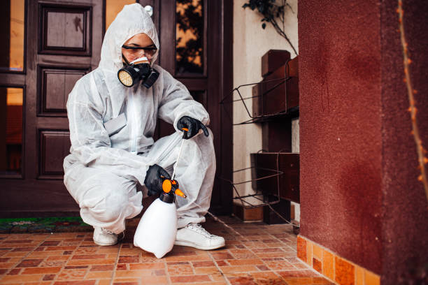 Reliable Wasp Removal contractor in Elgin, OK by Show Me Pest Control